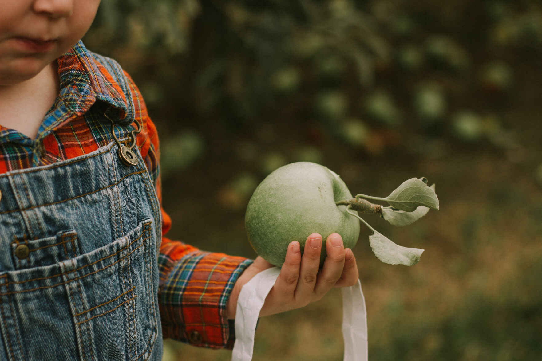 Eckert’s AppleFest | Weekends through Sept. 26